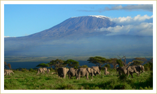 kenya holiday safaris trips vacations
