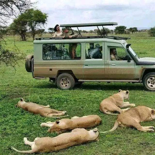 6 Days Amboseli, Tsavo East and Tsavo West Safari