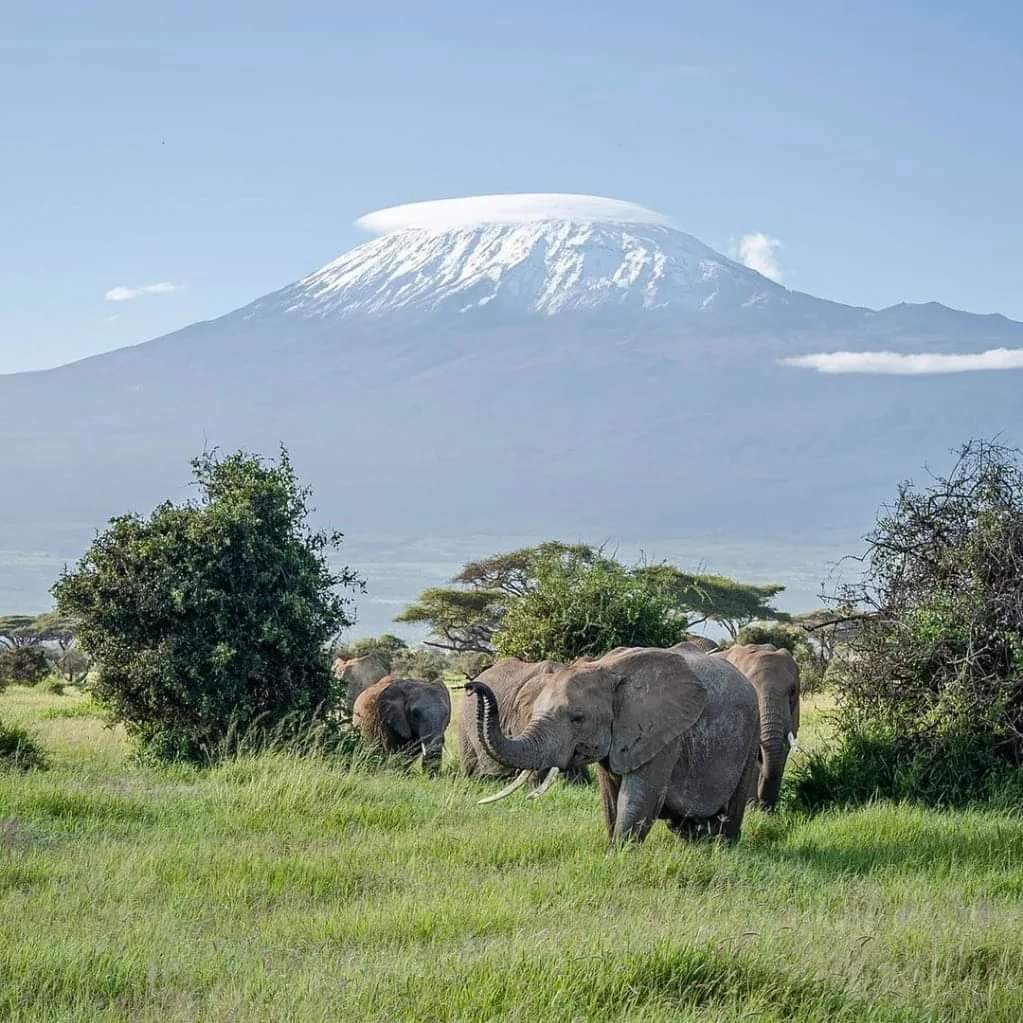 4 Days Kakamega Rainforest Adventure