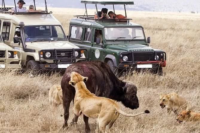 4 Days Laikipia & Lewa Conservancy Fly-In Conservation Safari