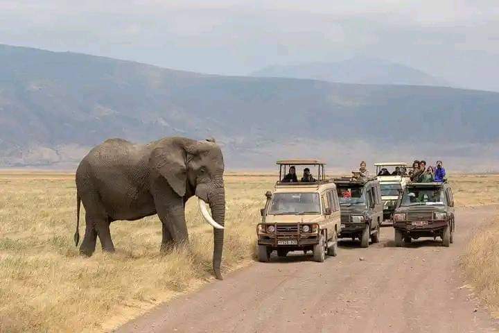 Family Safaris — Adventure Family Holiday Safaris