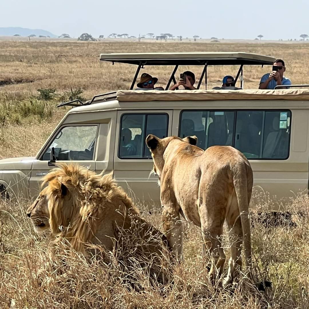 3 Days Maasai Mara Lodge Safari