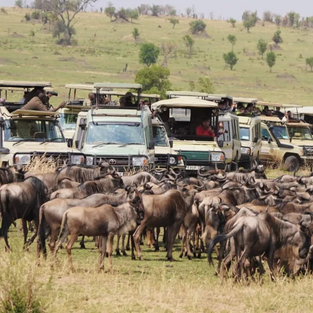 8 Days Grand Tanzania Safari